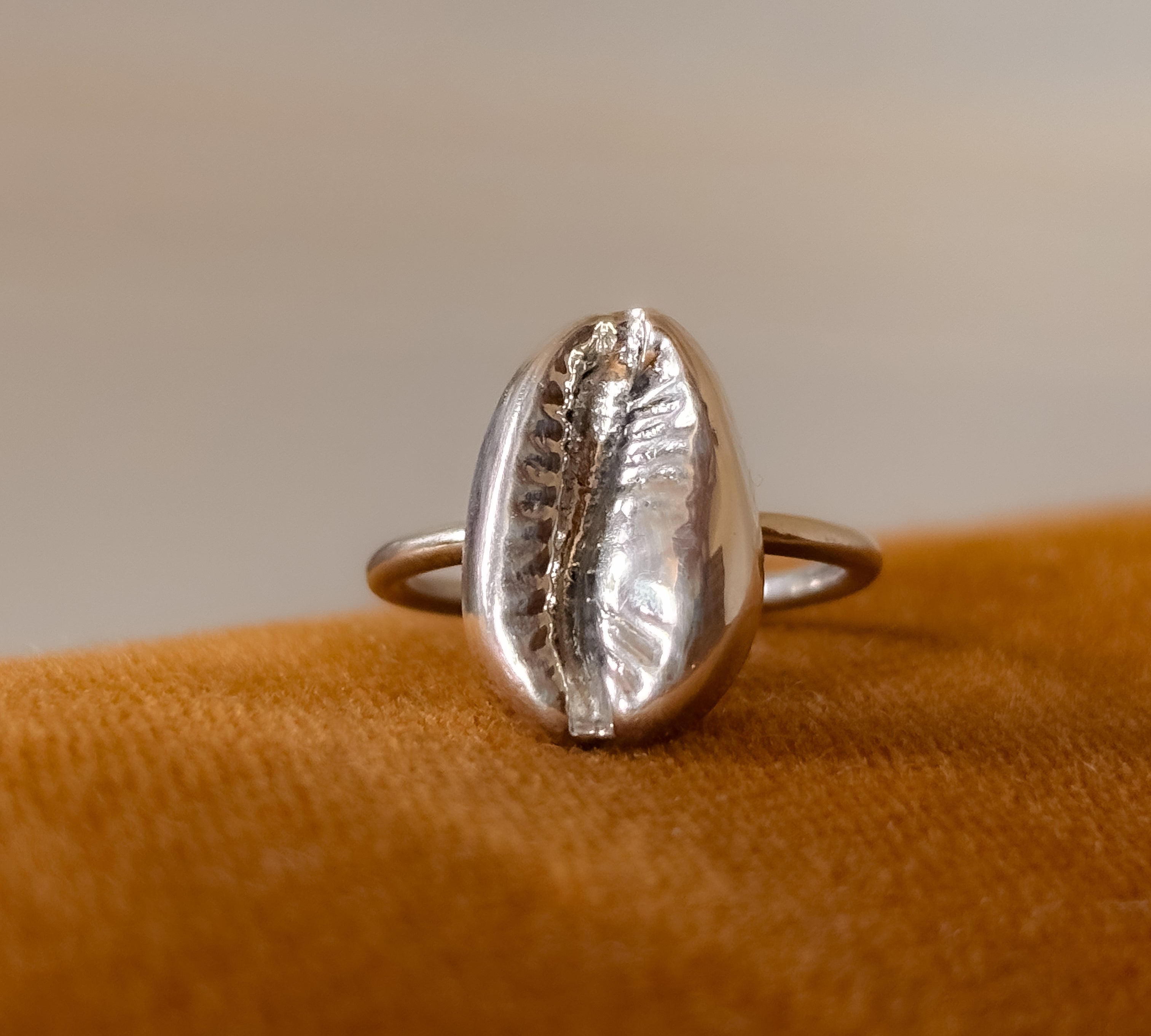 The Cowrie Ring in Silver