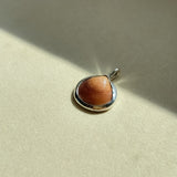 Remnant 008 - Little Brown Shell Silver Pendant