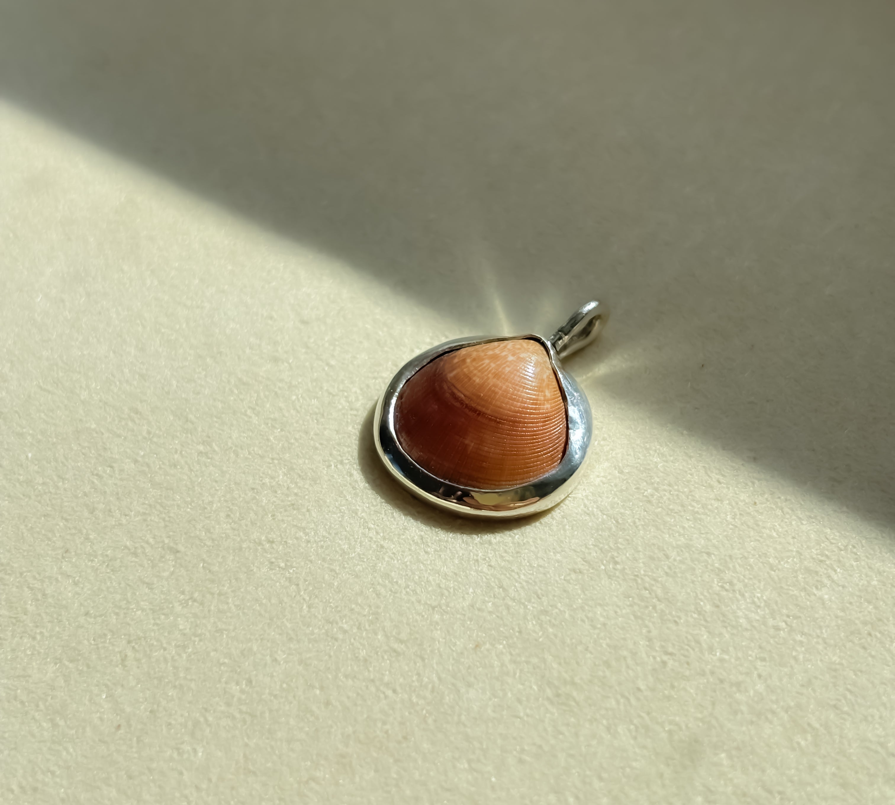 Remnant 008 - Little Brown Shell Silver Pendant