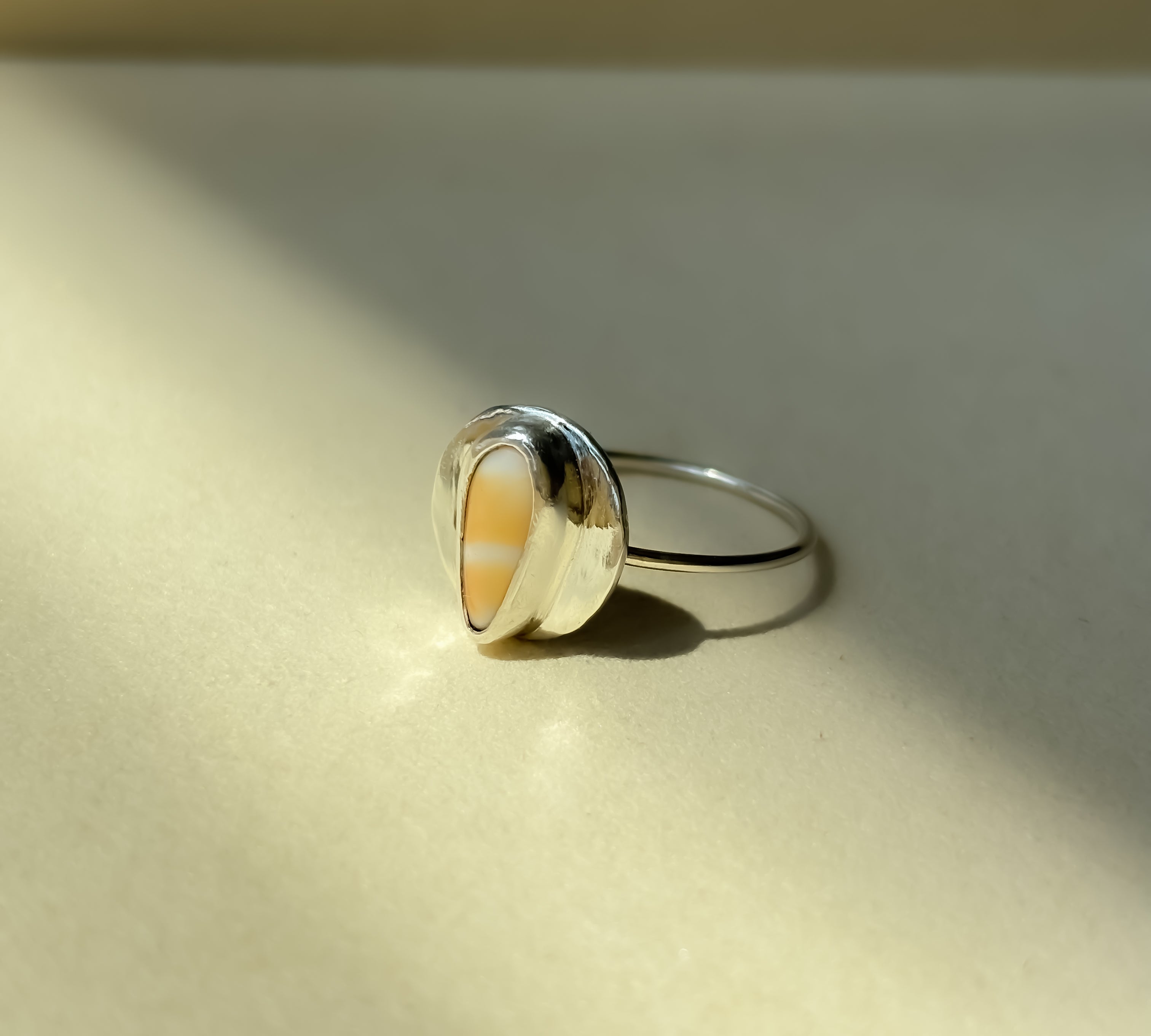 Remnant 019 - Shell Fragment Silver Ring