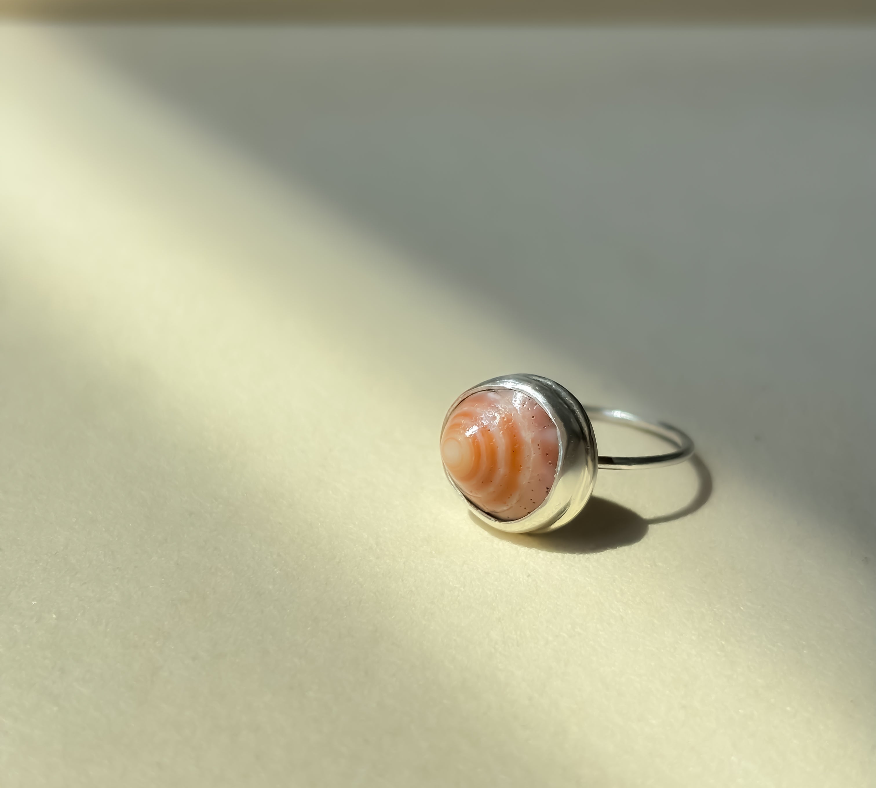 Remnant 018 - Mini Spiral Shell Silver Ring