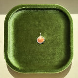 Remnant 008 - Little Brown Shell Silver Pendant