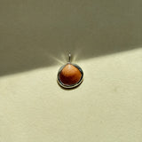 Remnant 008 - Little Brown Shell Silver Pendant