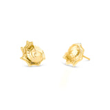 18ct Gold Vermeil Astra Shell Stud Earrings