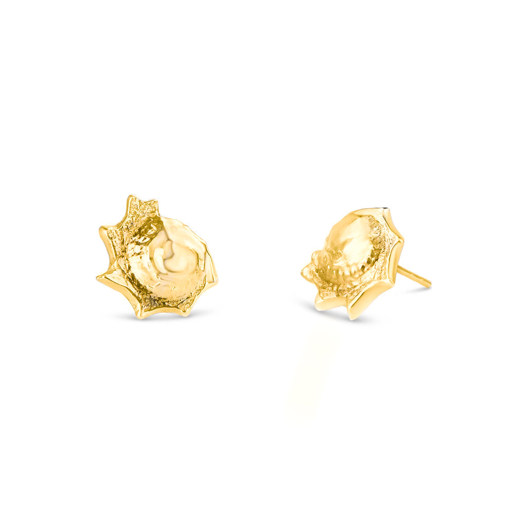18ct Gold Vermeil Astra Shell Stud Earrings