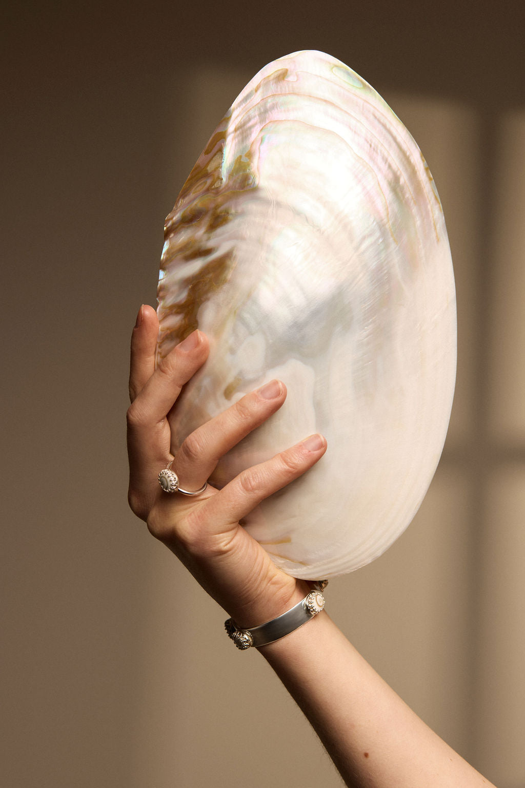 Sterling Silver Shiva Shell Cuff Bracelet