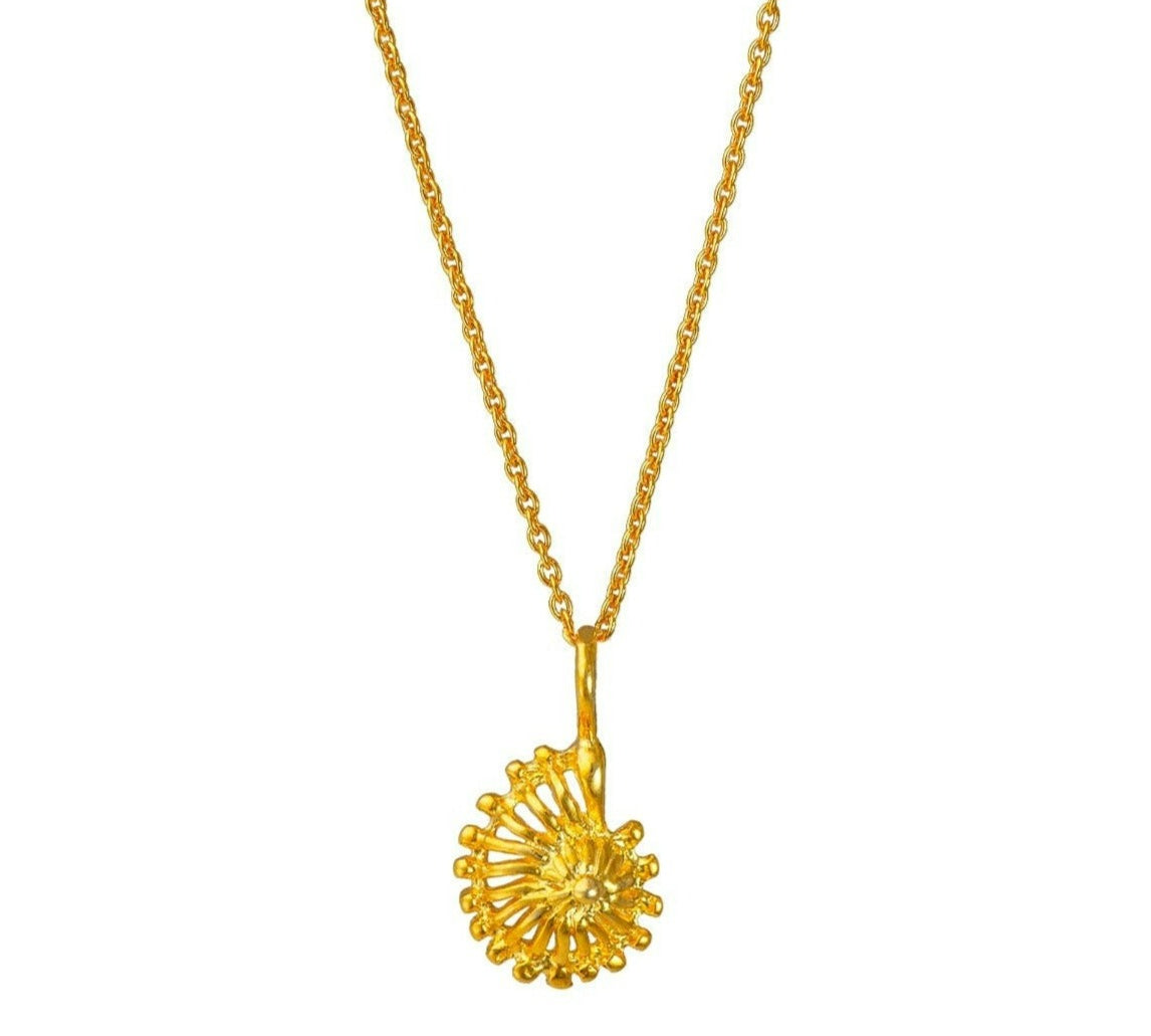 Ammonite - Shell Pendant Necklace Gold, Silver