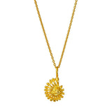 Ammonite - Shell Pendant Necklace Gold, Silver
