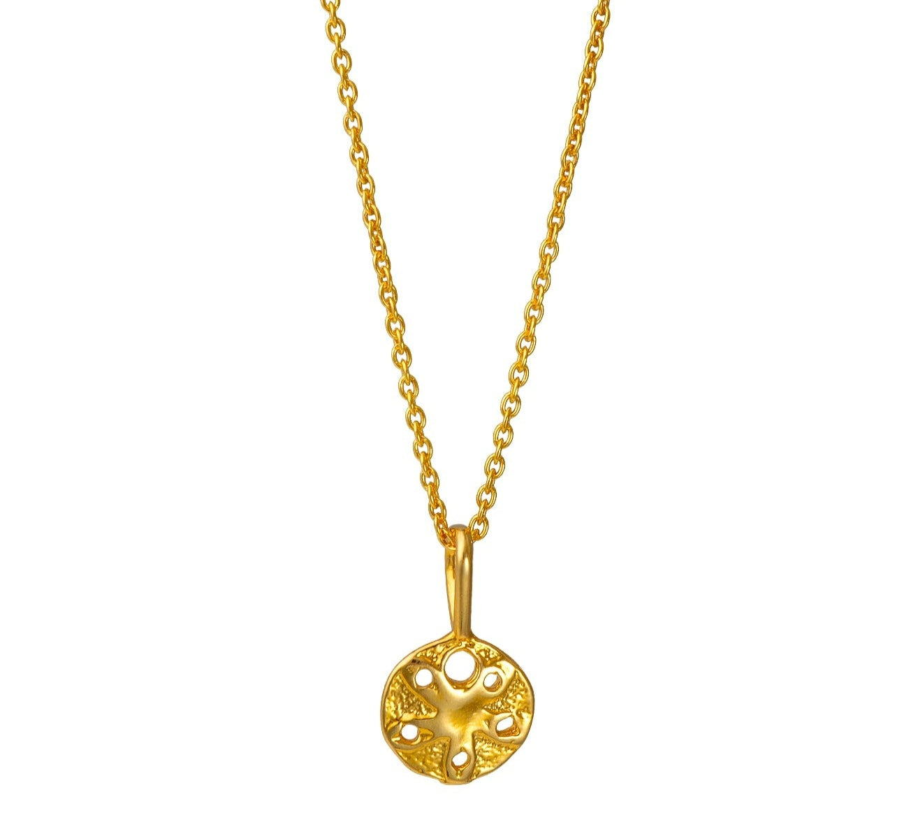 Sand Dollar Shell Necklace Gold, Silver